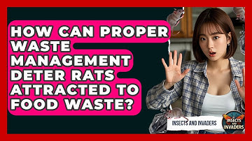 How Can Proper Waste Management Deter Rats Attracted To Food Waste? - Insects and Invaders