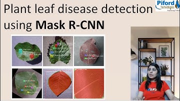 Plant leaf disease detection using Mask R-CNN | Image Segmentation