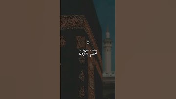 تلاوه خاشعه الشيخ#ماهر_المعيقلي #ماهرالمعيقلي #قران #القران_الكريم #كروما_شاشة_سوداء #المصحف
