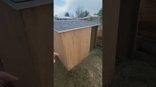 Pig House Done