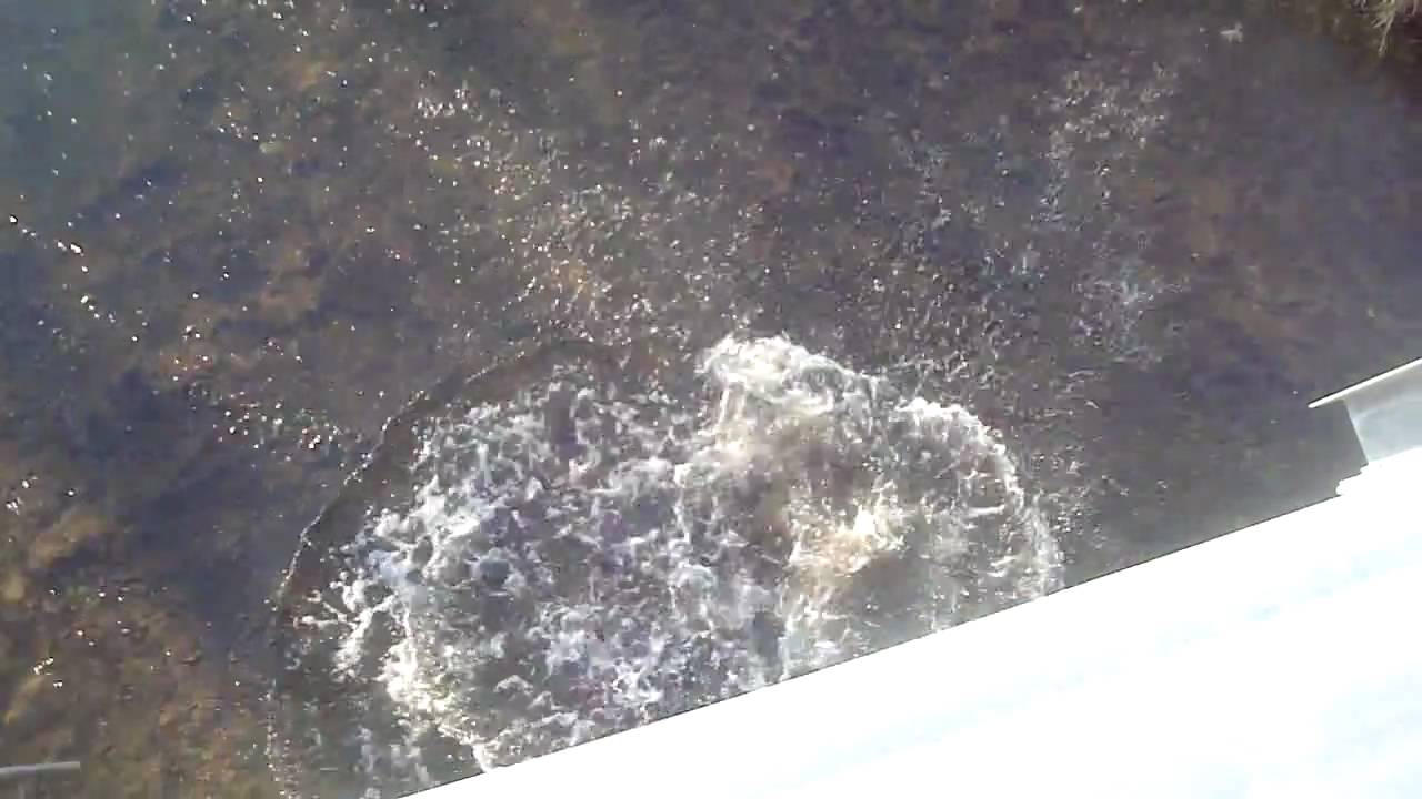 Dropping Rocks off of a Bridge YouTube