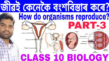 Ch-8 ll Part-3 ll G.Science ll Class 10 ll