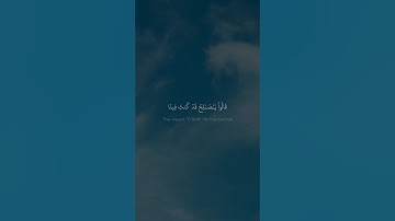قَالُوا۟ یَـٰصَـٰلِحُ قَدۡ كُنتَ فِینَا مَرۡجُوࣰّا | محمد صديق المنشاوي | سورة هود | بيات