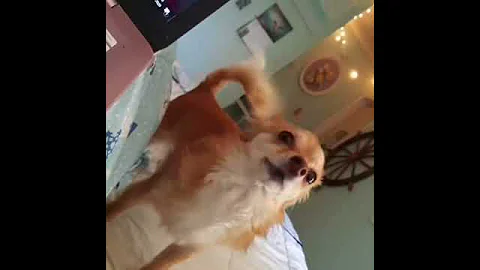 Weezie Yappin up a Storm