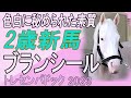 色白に秘められた素質　白毛2歳新馬●ブランシール（母マーブルケーキ）の自己紹介　トレセンパドック2023　Racehorses with music