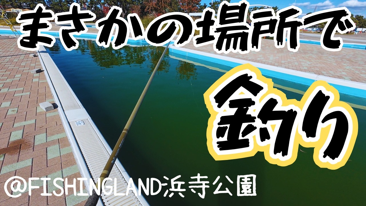 プールで釣りができる‼️楽しすぎる場所でニジマス釣るぞ❗【FISHING LAND浜寺公園】