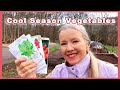 Plant these 4 cool season vegetables now easy in a raised bed spring planting part 3