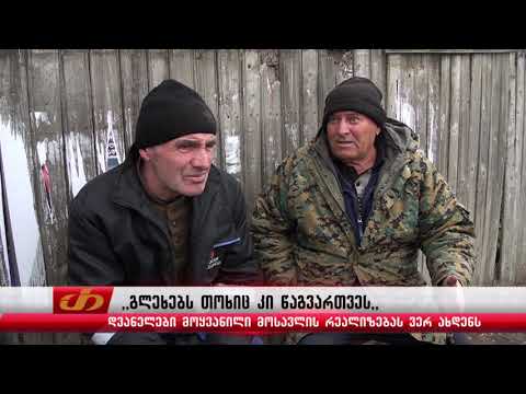 ,,გლეხებს თოხიც კი წაგვართვეს,, –დვანელები მოყვანილი მოსავლის რეალიზებას ვერ ახდენენ