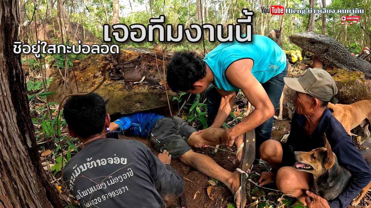พาน้องหมาบุกตะลุยป่า(หมานสัตว์ป่า)ພານ້ອງຫມາບຸກຕະລຸຍປ່າ //Hieng บ่าวเฮียง คนหากิน