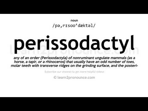 Udtale af Perissodactyl | Definition af Perissodactyl