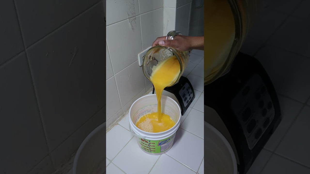 12.- Mr. Frozzy de Agua Sabor Mango