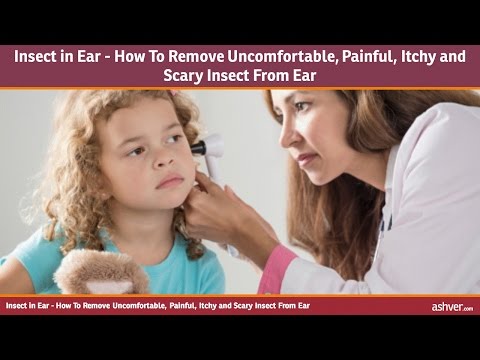 insect-in-ear---how-to-remove-uncomfortable,-painful,-itchy-and-scary-insect-from-ear