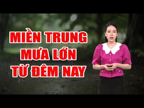 Bản tin thời tiết 10/10: Miền Trung mưa lớn từ đêm nay | Quảng Ngãi: Đề phòng thời tiết nguy hiểm