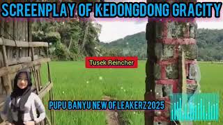 Download Lagu PUPU BANYU NEW LEAKERZ 2025 MP3