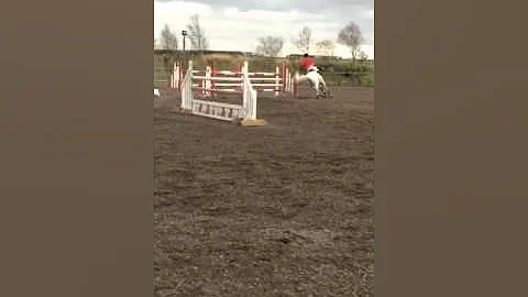 Jessica McNally - Bowes Corland Cracker