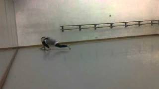 VID 00012 20110121 1924
