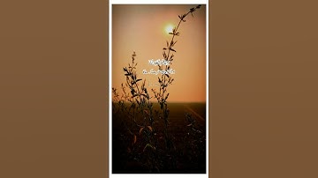 سورة الأعراف #القرآن_الكريم #ماشاءالله #pleasesportme