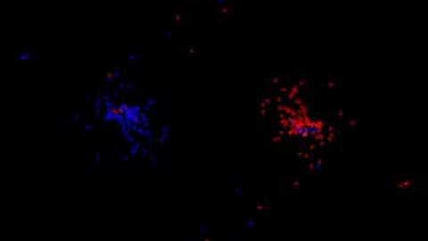 22x22 particles in rotation