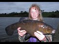 Tench bream and hybrid fishing in cavan ireland  2021