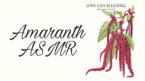Amaranth ASMR: An Intro