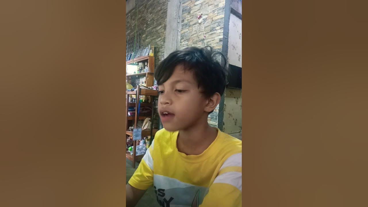 #duet #comedy #singer #twins #singing #funny #voice #remix #chachadiscoremixwaray