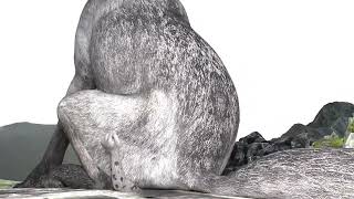 Wolf Facesitting Jax Sprucemoki Animation