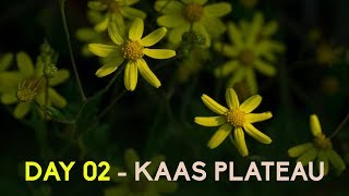 A Trip to Kaas - Travel Vlog Day 02 | Kaas Plateau | Kaas Pathar | KHS India
