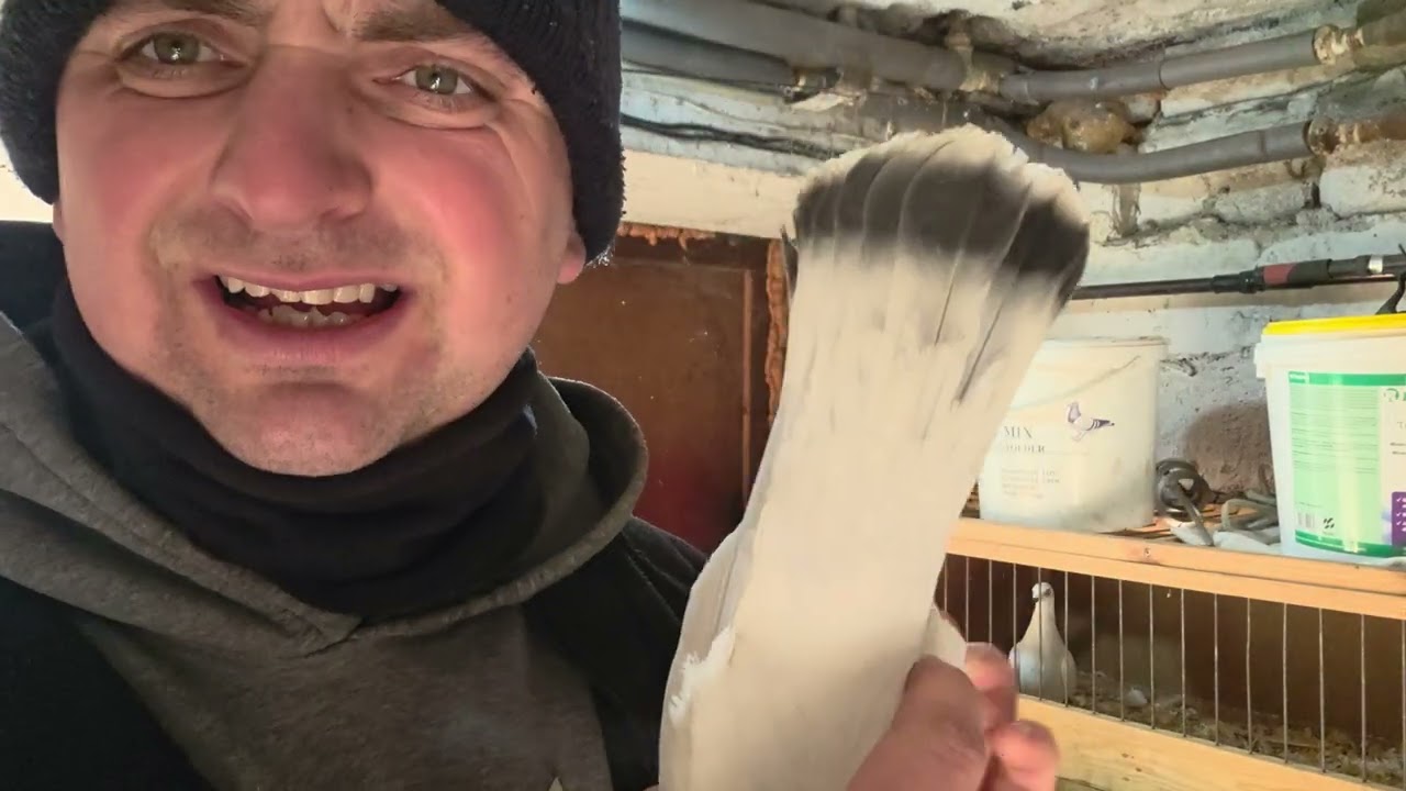 Czy nie za dużo tych samiczek ja przyniosłem 🤔