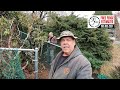 How To Cut A Bias & V-Cut In A Chain Link Fence