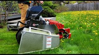 This Lawn Was Overrun by Dandelions—Watch the Transformation