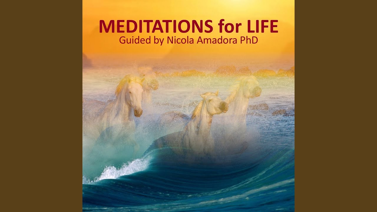 Discovering New Land