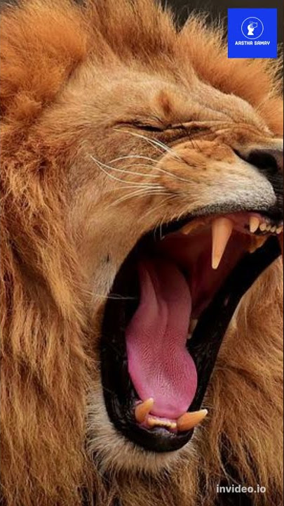 Facts and Secrets about Leo Zodiac Sign Personality #shortsfeed #zodiacsigns