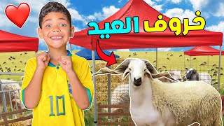 اخيرا اشترينا الحولي ديال عيد الاضحىيونس تصدم ملي شافوا?