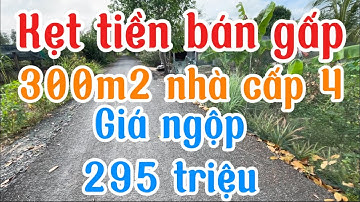 Kẹt tiền bán gấp căn nhà cấp 4 mặt tiền đường nhựa giá 295 triệu hết đất Tp,Vị Thanh Hậu Giang