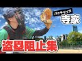 【まとめ】盗塁阻止集/バッテリィズ 寺家