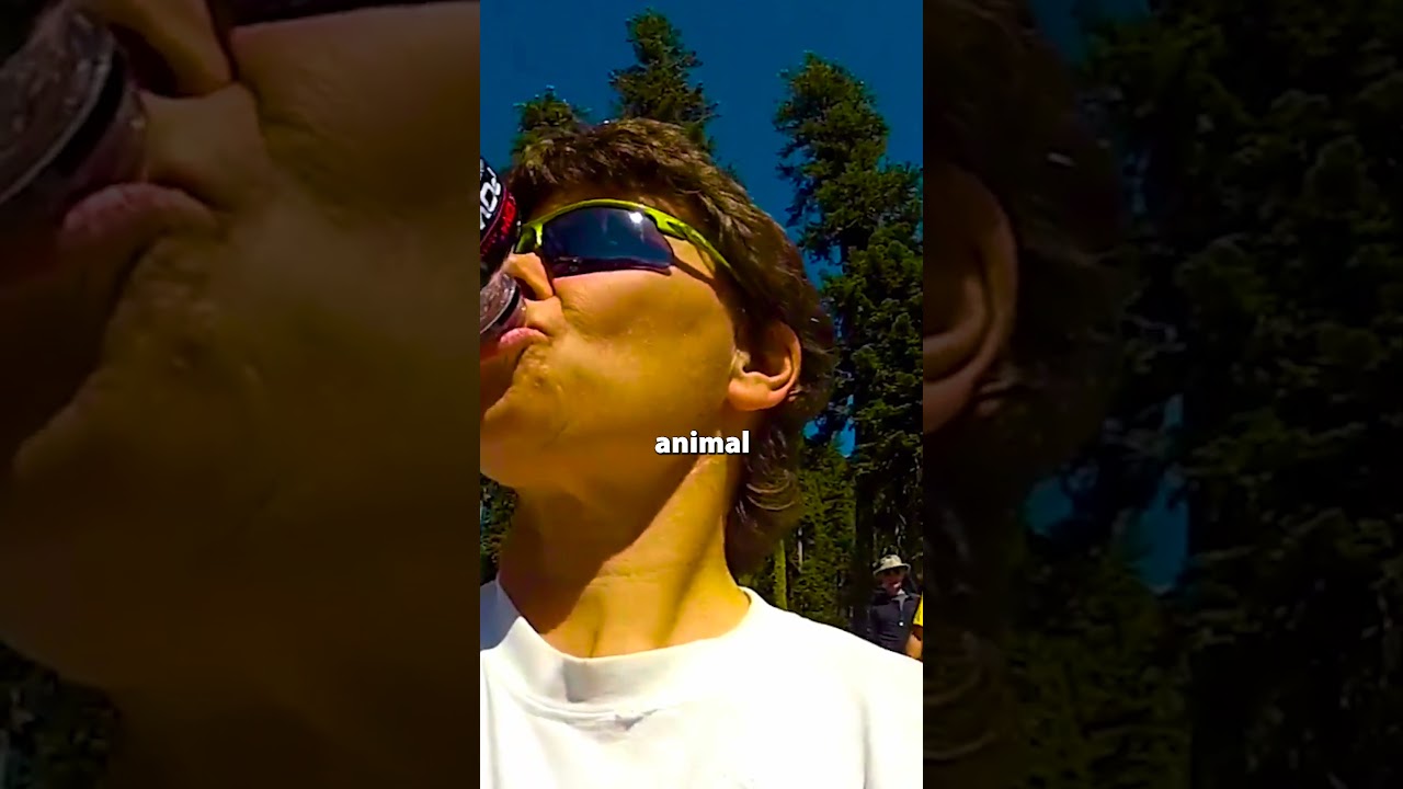 #survival #shortsfeed #shortvideo