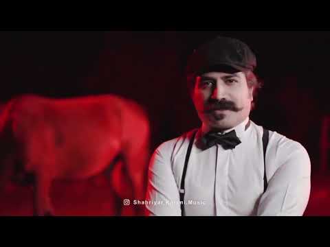 شهریار کریمی و مهدی زمانی