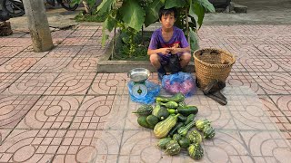 orphan boy khai went to harvest pumpkins to sell and met a good person who gave it to him for free