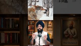 🐺 Why Wise People Say: Live Like a Wolf | Powerful Life Lesson 🔥#WolfMentality #LifeLessons