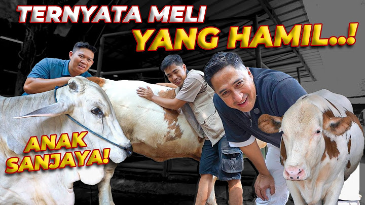 TERNYATA SANJAYA YANG AKAN PUNYA ANAK TAHUN INI..!