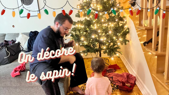🎄ON DÉCORE LE SAPIN ET LE MAISON | Vlogmas 6 2022