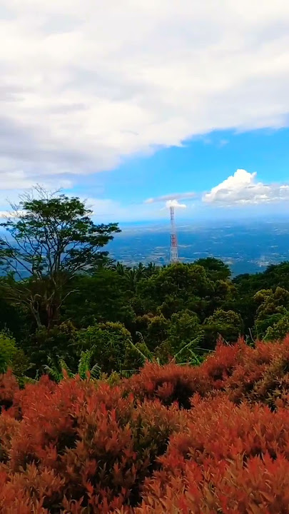 pemandangan diatas gunung karang #myviewId #short #shortvideo