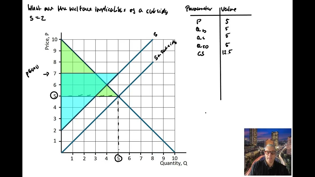 CEI04 08 Welfare Implication of a Subsidy