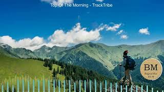 No Copyright Background Music | Top Of The Morning   TrackTribe