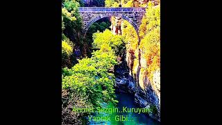 Ahmet Sezgin..Kuruyan Yaprak Gibi..