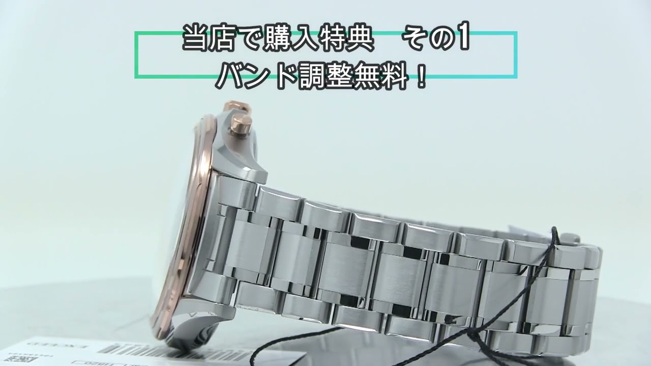 CITIZEN[シチズン] EXCEED[エクシード] AT9134-76F エコ・ドライブ電波