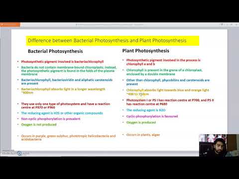 Bacterial photosynthesis vs Plant photosynthesis