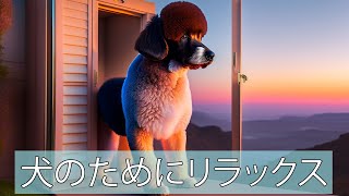 犬をリラックスさせる音楽！ - あなたの犬に試してみてください。 リラックスマイドッグ 🐶 by 犬のリラックスタイム 11 views 11 months ago 1 hour, 58 minutes