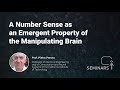 A Number Sense as an Emergent Property of the Manipulating Brain - Pietro Perona