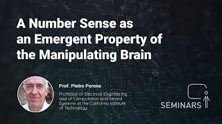 A Number Sense as an Emergent Property of the Manipulating Brain - Pietro Perona